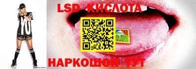 кокаин VHQ Будённовск