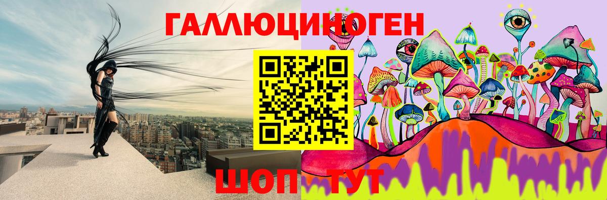 Псилоцибиновые грибы прущие грибы Черняховск